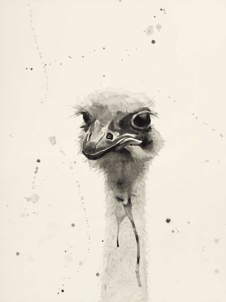 Watercolor Ostrich 2