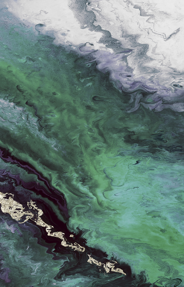 Green Shore Line From Above