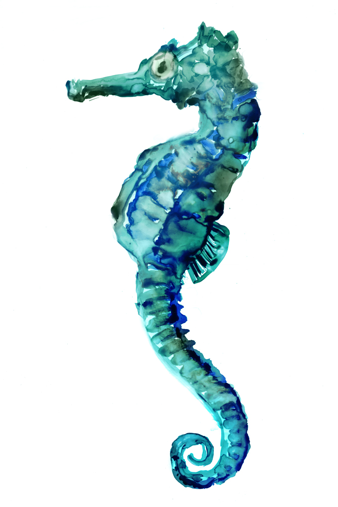 Sea Horse