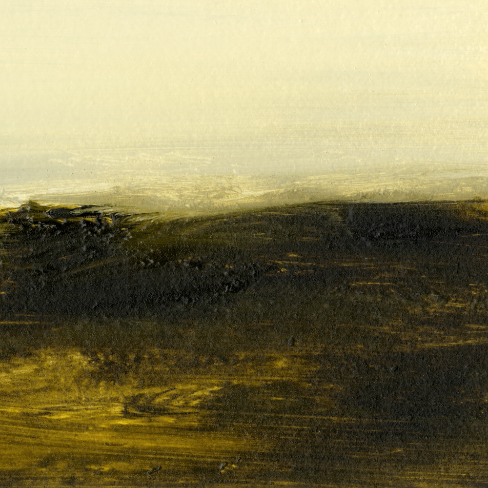 Light on the Horizon II